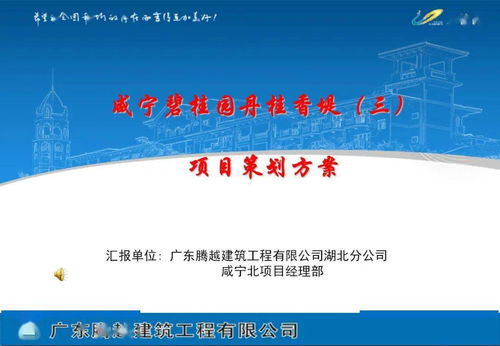 旅游开发项目策划咨询与执行指南