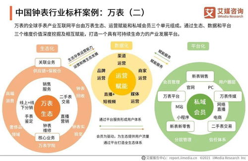 艾媒咨询《2021年中国钟表行业发展白皮书》对旅游开发项目策划咨询的启示